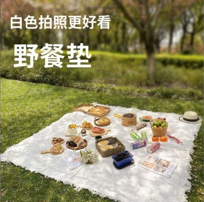 Outdoor Supplies Camping Picnic Mat Ins Picnic Cloth Moisture-proof Thickened Tent Mat Beach Blanket