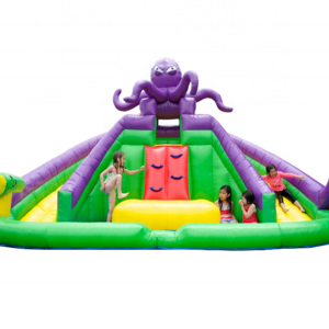 Kids Giant Inflatable Water Slides Inflatable Double Lane Devilfish Monster Octopus Water Slide With Pool