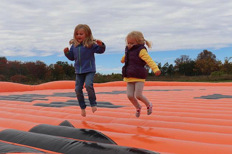 Giant Inflatable Mat Pumpkin Sunflower Strawberry Apple Corn Jump Pad Pillows Jumping Pillow  Air Jumper Bounce Pad Farm Use