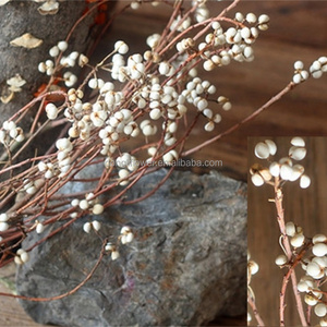 Natural Tallow Tree Stems white bean branch spray twig