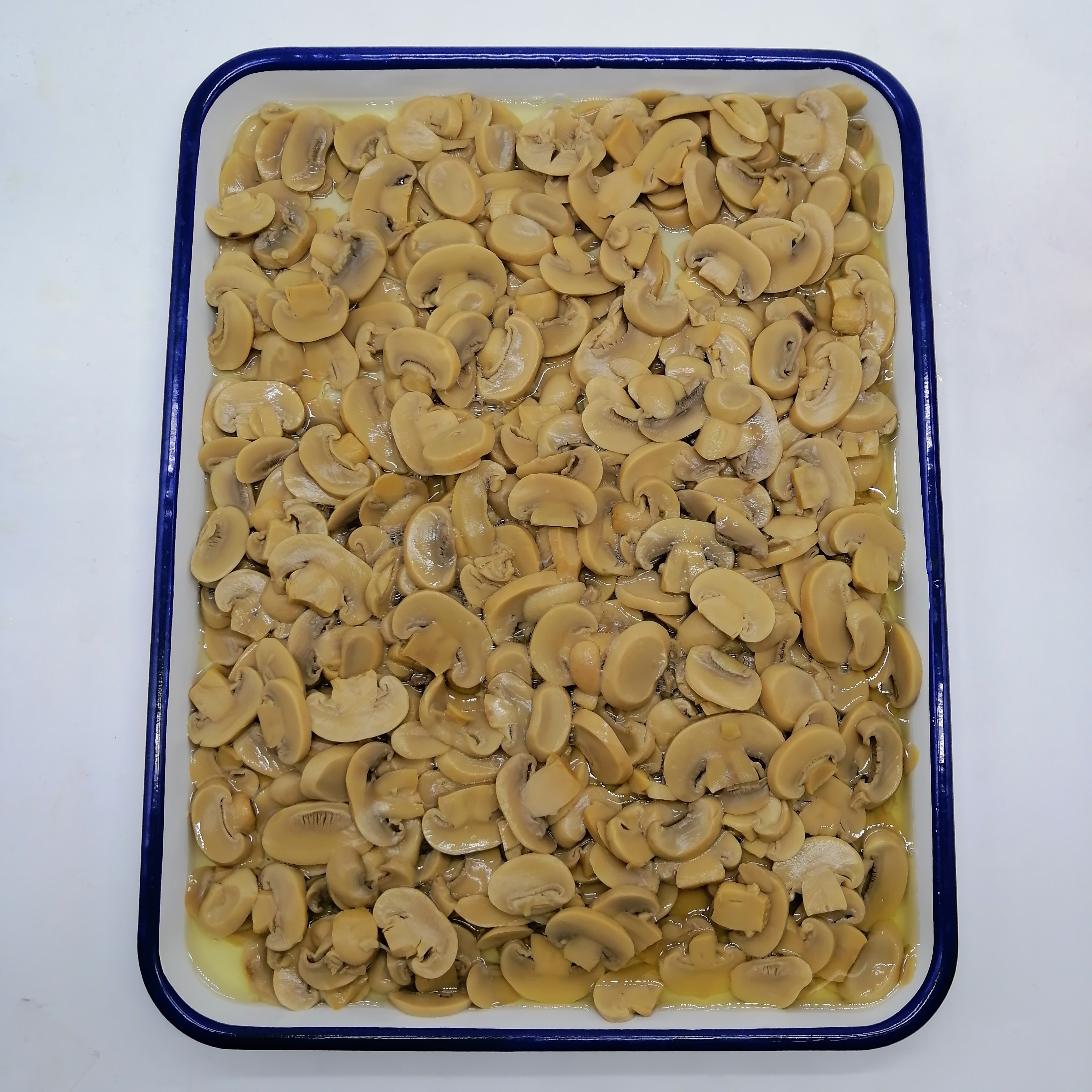 Best Selling canned mushroom 425g with OEM Service resh canned mushroom canned