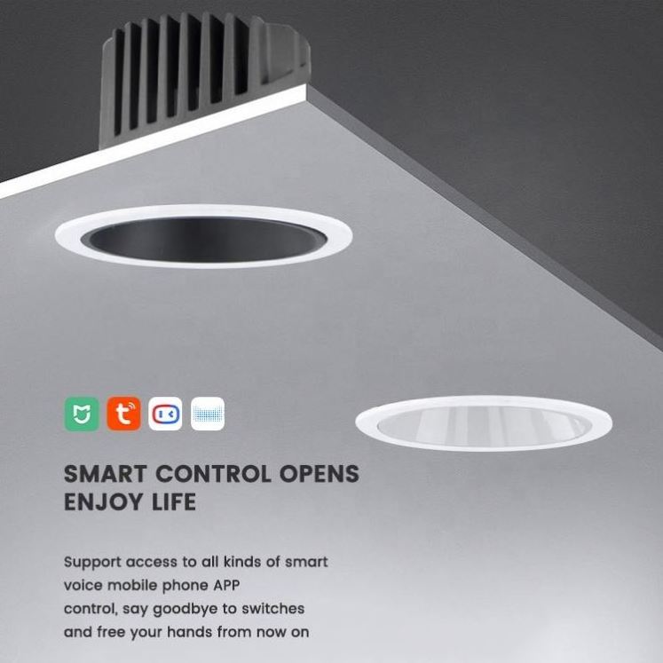 High Quality Indoor Energy Saving Shop Lights Ceiling Wall Washing Led Downlights