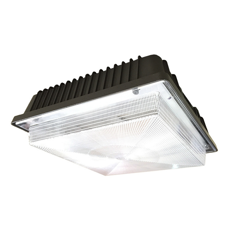 LED exterior canopy garage ceiling light