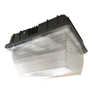 LED exterior canopy garage ceiling light