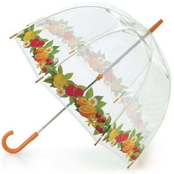 Stylish Apollo POE Clear Umbrella Transparent White straight Umbrella