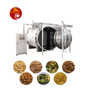 Low Consumption Freeze Drying Equipment Food Fruit Vegetable Liofilizador Freeze Dry Machine Vacuum Dryer Price