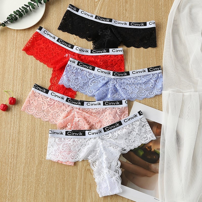 Custom Polyamide Transparent Cheeky Soft Seamless Undies See Through Underwear Woman Sexy Lace Panties