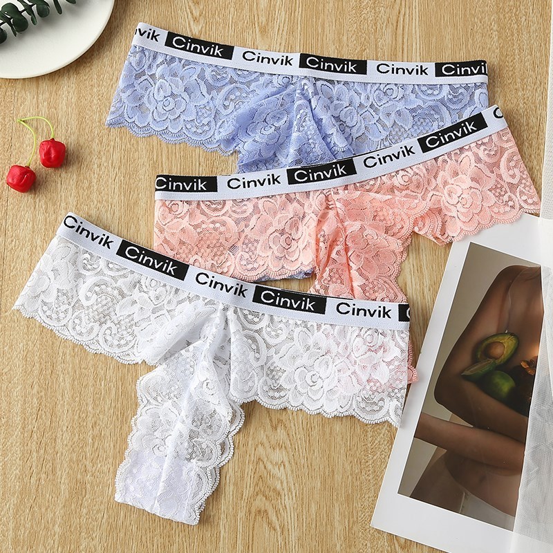 Custom Polyamide Transparent Cheeky Soft Seamless Undies See Through Underwear Woman Sexy Lace Panties