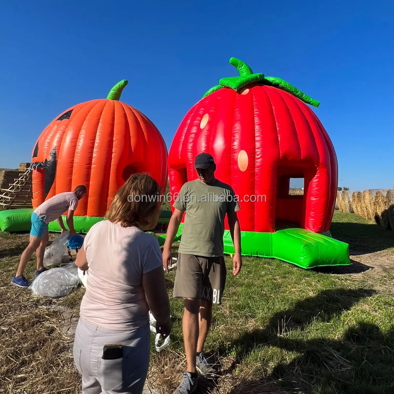 Advertising Promotion Inflatable Dome Tent Air Gazebo Exhibition Tent