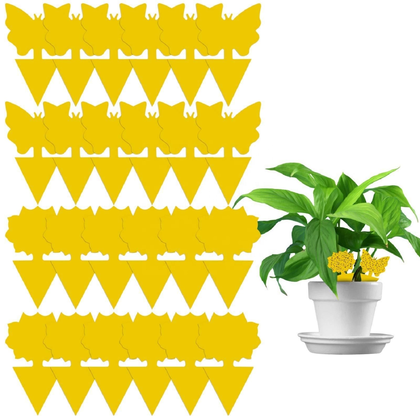 12pcs Yellow Fruit Fly Traps Indoor Sticky Glue Trap Gnat Killer for Kitchen House Outdoor Plant Fly Paper Flying Insect