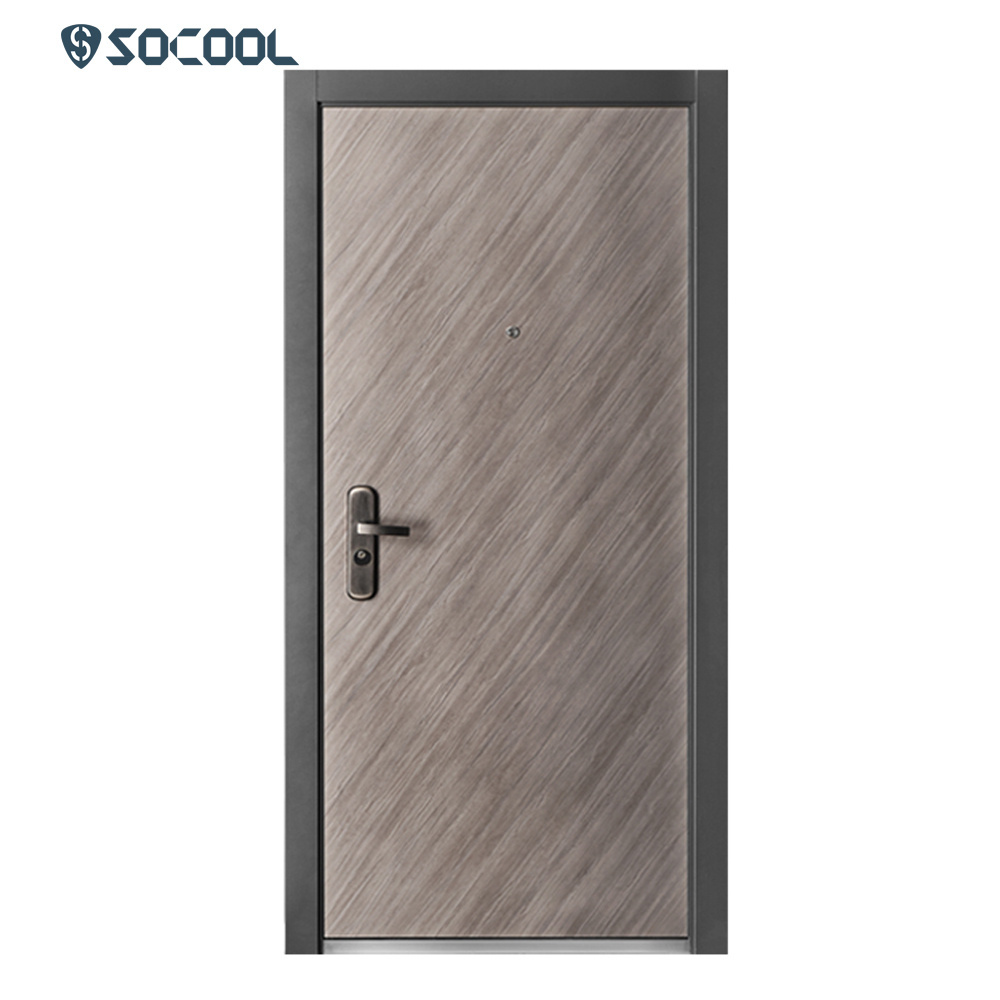 Security Door Modern Front Homes Metal Pull Handle Exterior Security Steel Doors