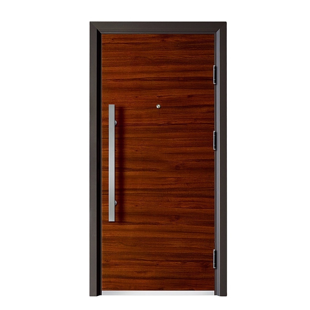 China Supplier Safety Full Copper Fire Stainless Steel Security Door