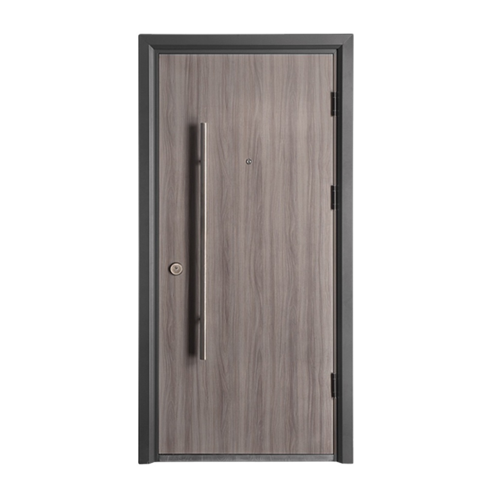 Security Door Modern Front Homes Metal Pull Handle Exterior Security Steel Doors