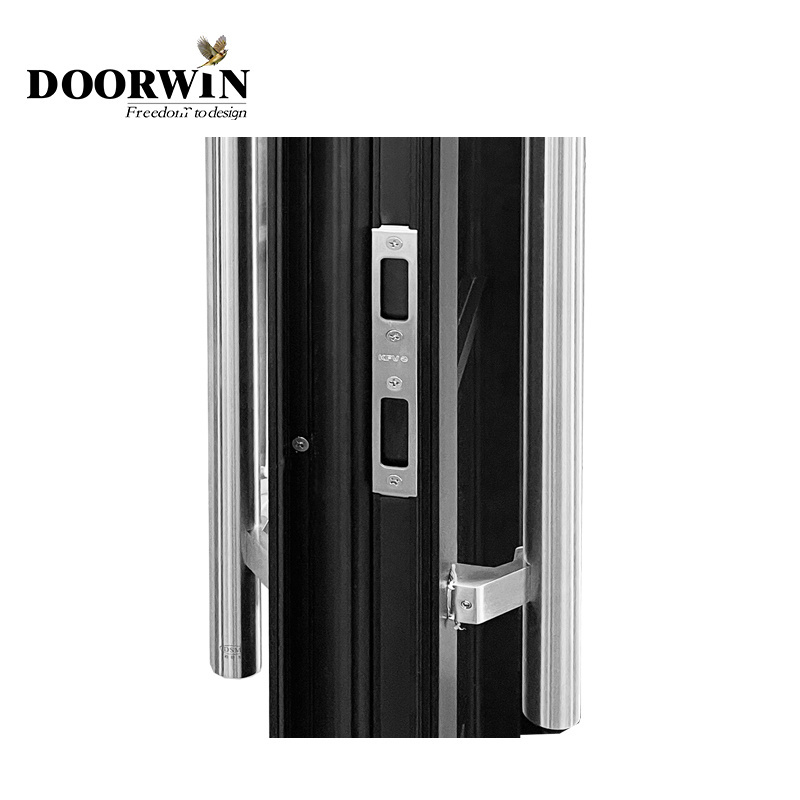 Doorwin Top Supplier Factory Directly Thermal Break Low-E Modern Front Entrance Door Powder Coated Hinged Doors