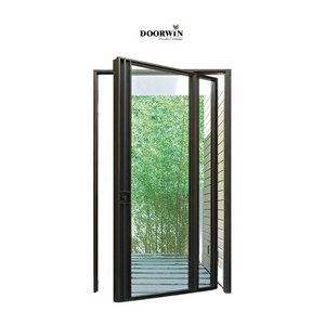 Exterior Black Aluminum Frame Oversized Entry Pivot Doors