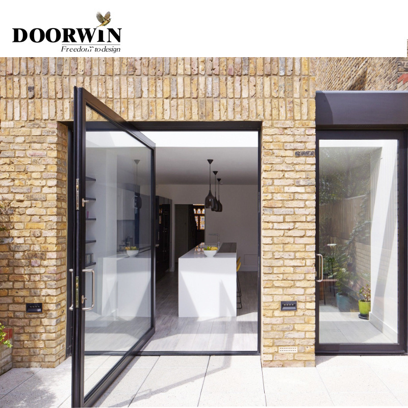 Exterior Black Aluminum Frame Oversized Entry Pivot Doors