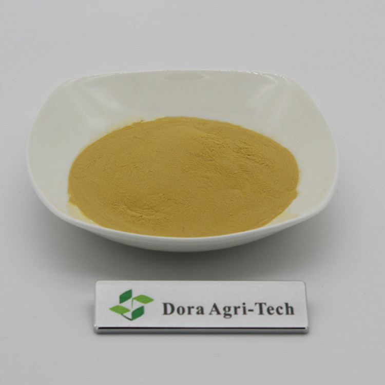 Natural Organic Fertilizer Chitin Chitosan Used as Blueberry Fertilizer