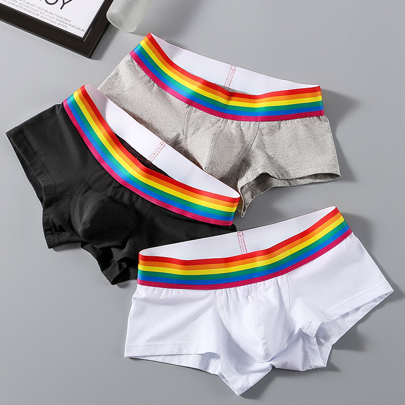 Hot Selling Rainbow Cotton Men's Boxers Briefs Gay Underwear