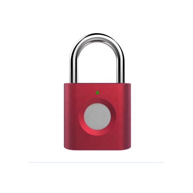 Cheap Safety Fingerprint Smart Manufacturer High Quality Multicolor Zinc Alloy Metal Pad Lock For Door Luggage