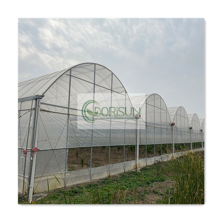 Automated Irrigation System High Pressure Water Mist Waterproof Geodesic Dome Plastic Greenhouses For Mushroom