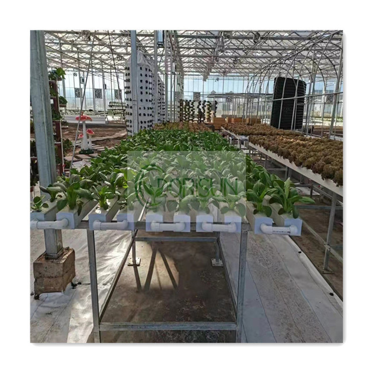 Commercial Smart Greenhouse Fully Automatic Garden Indoor Hydroponics Systems For Growing Plants