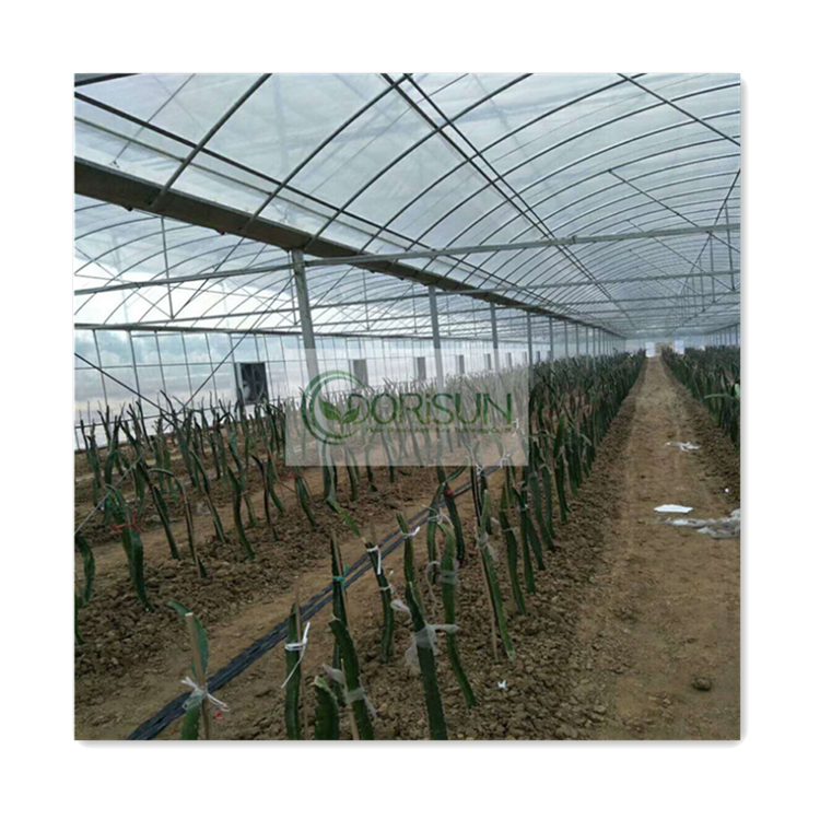 Chinese Retractable Bug Netting Water Pipe Tube Nurse Shelves Tunnel Pvc Polycorbonate Greenhouse For Roses