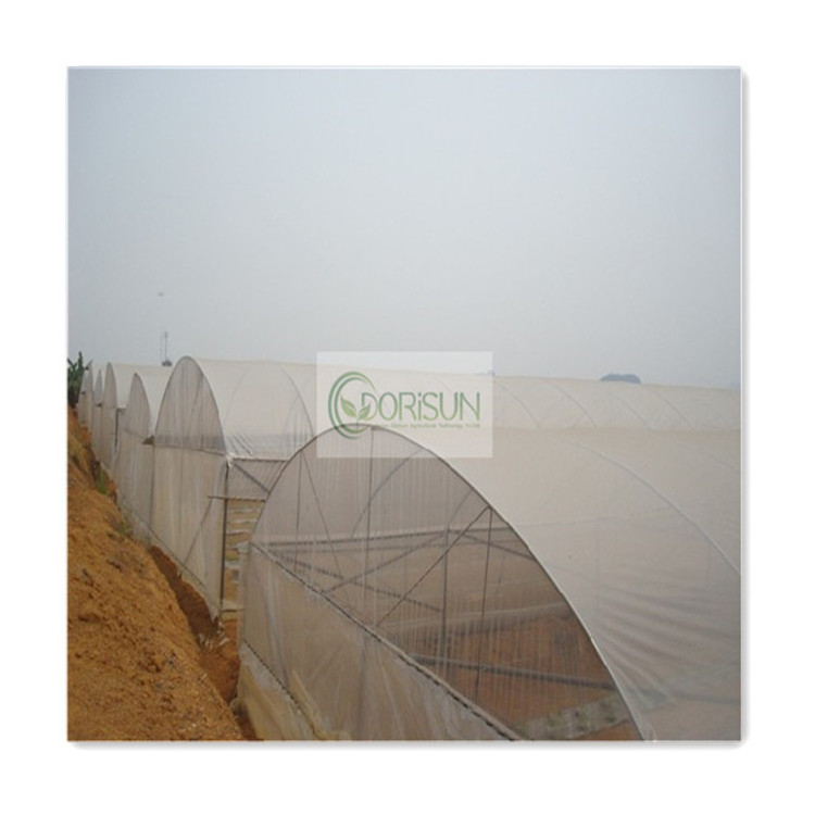 Industrial Pvc Small Portable Walk In Plastic Gazebo Solar Powered 30X10X4M Full Greenhouse Tunnel For Maize