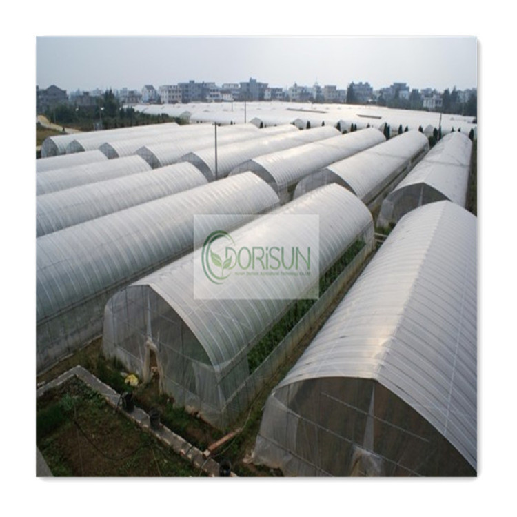 Industrial Pvc Small Portable Walk In Plastic Gazebo Solar Powered 30X10X4M Full Greenhouse Tunnel For Maize