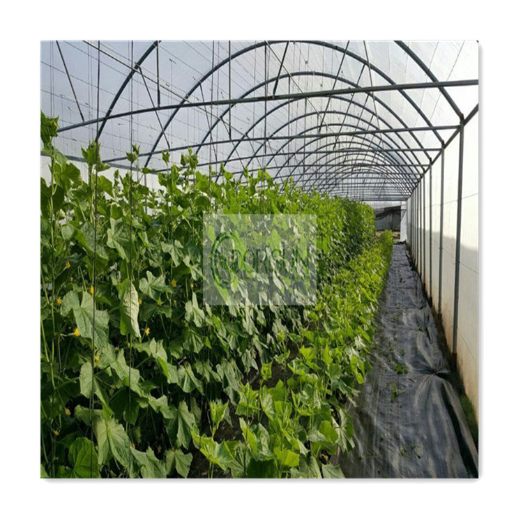 Industrial Pvc Small Portable Walk In Plastic Gazebo Solar Powered 30X10X4M Full Greenhouse Tunnel For Maize