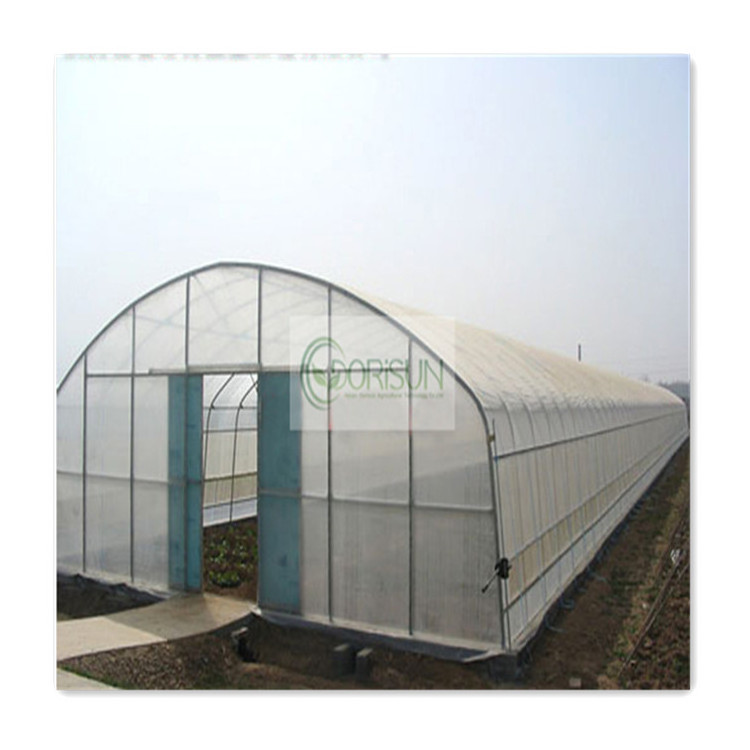 Industrial Pvc Small Portable Walk In Plastic Gazebo Solar Powered 30X10X4M Full Greenhouse Tunnel For Maize