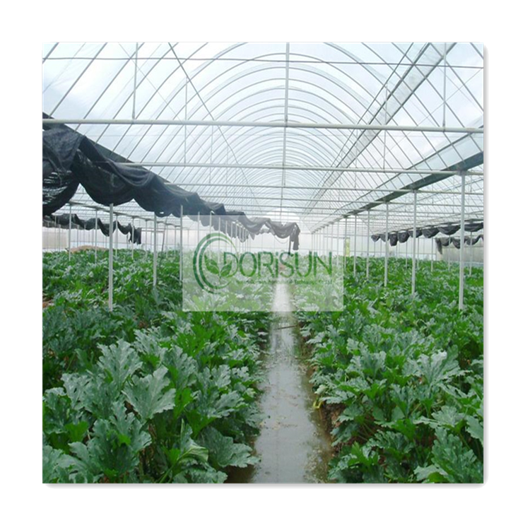 Agricultural Tunnel Heating Blanket Vertical Farm Tall Large Span Victorian Steel Greenhouse