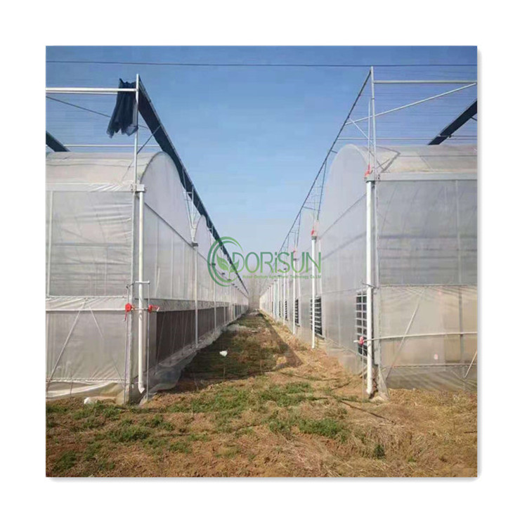 Agricultural Tunnel Heating Blanket Vertical Farm Tall Large Span Victorian Steel Greenhouse