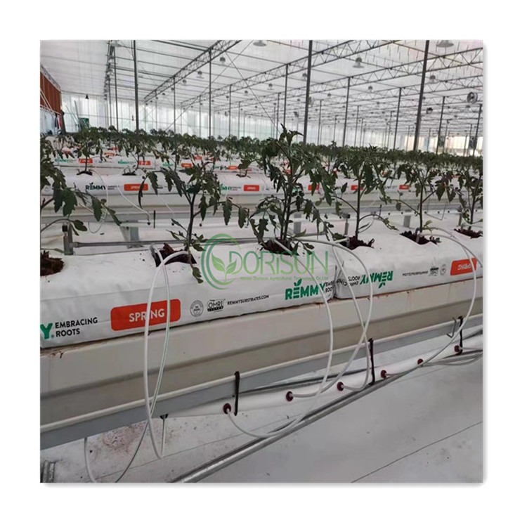 Dutch Bucket Hydroponic System Biodegradable Potato Nursery Strawberry Tree Coconut Peat Planting Bags