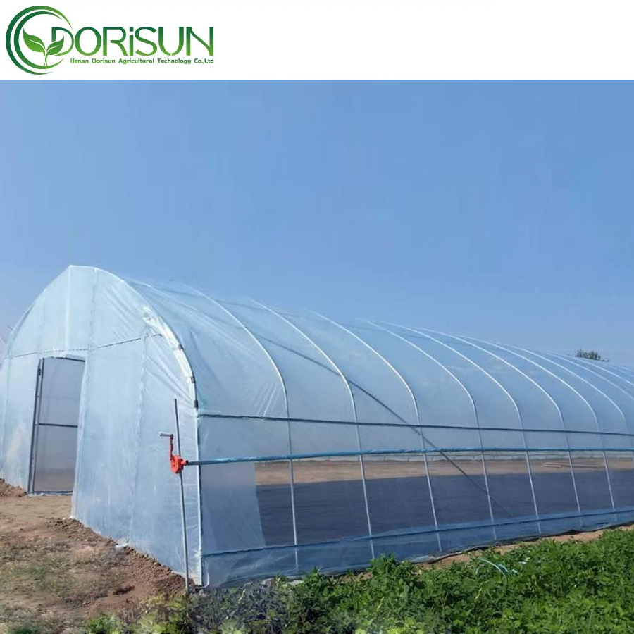 Lowest cost agricultural poly tunnel green house commercial steel galvanized pipe single span plastic greenhouse