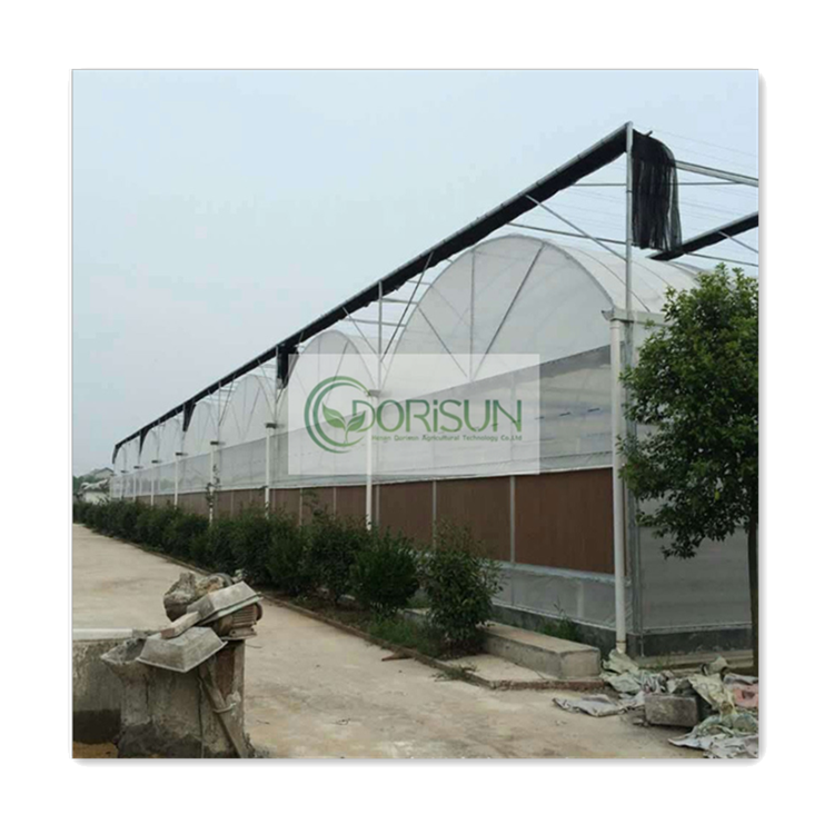 Agricultural Tunnel Retractable Triangle Roof Walk-In Farming Tomatoes Shade Net Greenhouse For Sale