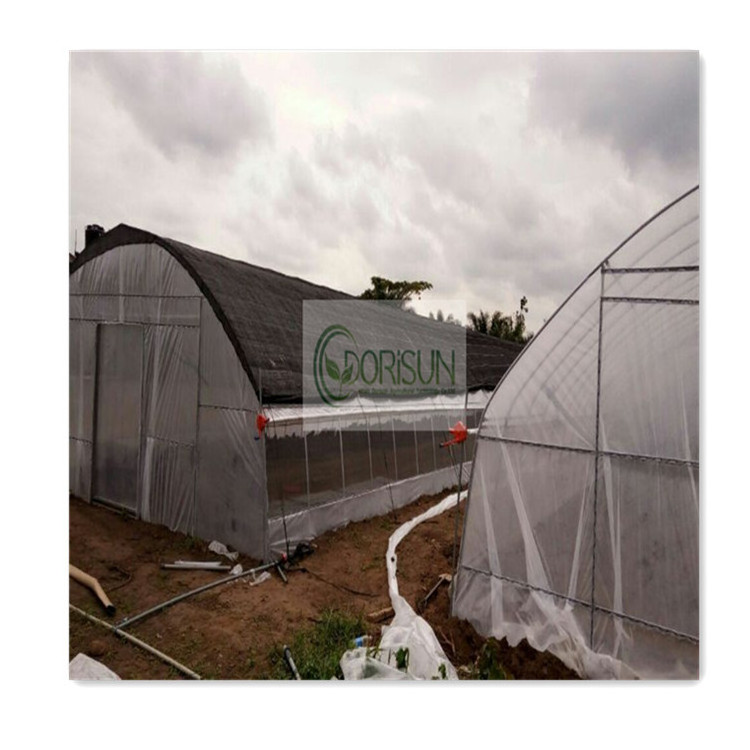 China Low Cost Blackout Garden Mushroom Antique Single Span High Tunnel Agriculture Greenhouse For Plants