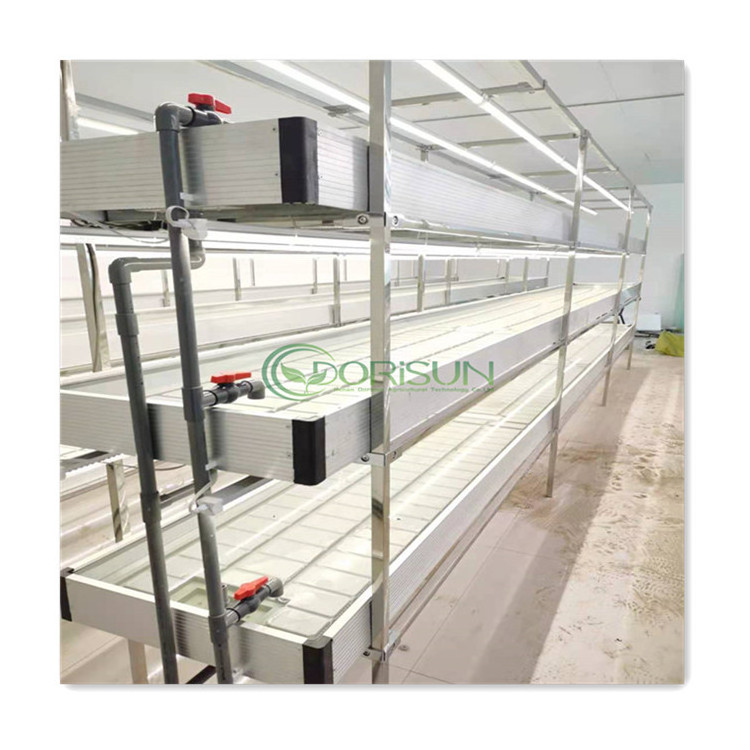 Flood Table US Stock Grow Table 2 Level Oyster Mushroom Growing Racks Multi-Layer Ebb And Flow Seedbed With Track