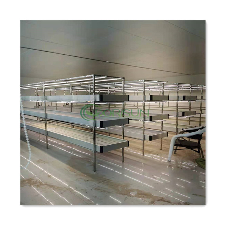 Flood Table US Stock Grow Table 2 Level Oyster Mushroom Growing Racks Multi-Layer Ebb And Flow Seedbed With Track