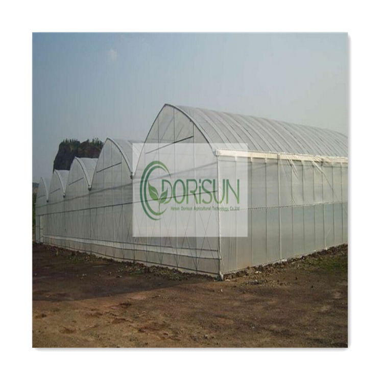 Hydroponic Tomato System Cedar Double Wall High Pressure Sodium Lights Rain Shelter Greenhouse With Low Cost