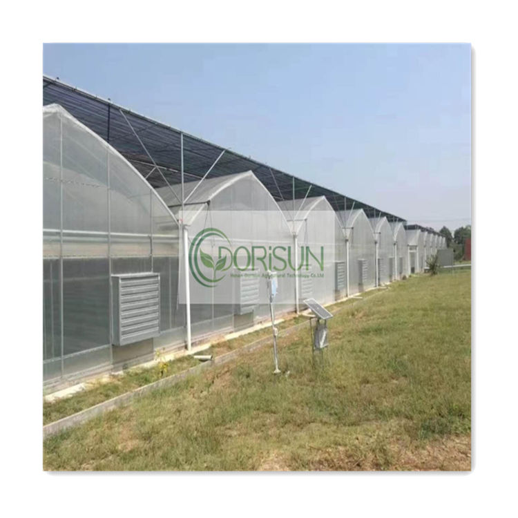 Agricultural Tunnel Retractable Triangle Roof Walk-In Farming Tomatoes Shade Net Greenhouse For Sale