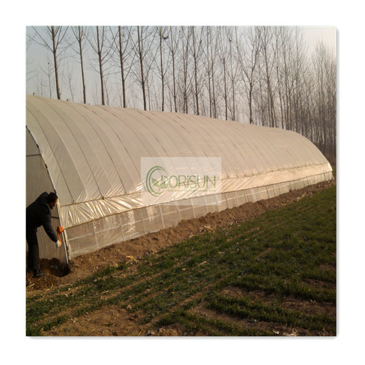 8X12 China Green Houses Plastico Para Invernaderos-Industrial Tunel Used Agricultural Greenhouse Tunneling For Sale