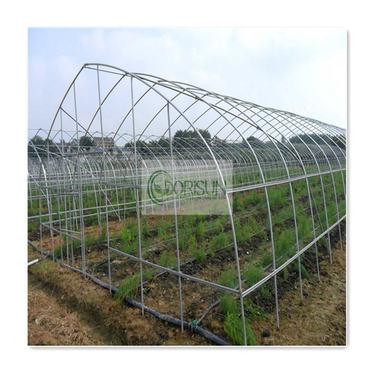 Prefabricated Reasonable Price Wooden Glass Double Walled Vacuum Insulated Foldable Polycarbonate Sheet Greenhouse