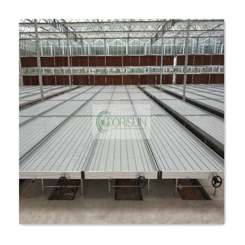 Hydroponics System Vertical Rack Greenhouse Ebb Flow Rolling Bench Vertical Grow Racks For Indoor Farming