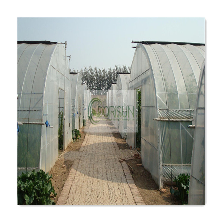 China Low Cost Blackout Garden Mushroom Antique Single Span High Tunnel Agriculture Greenhouse For Plants