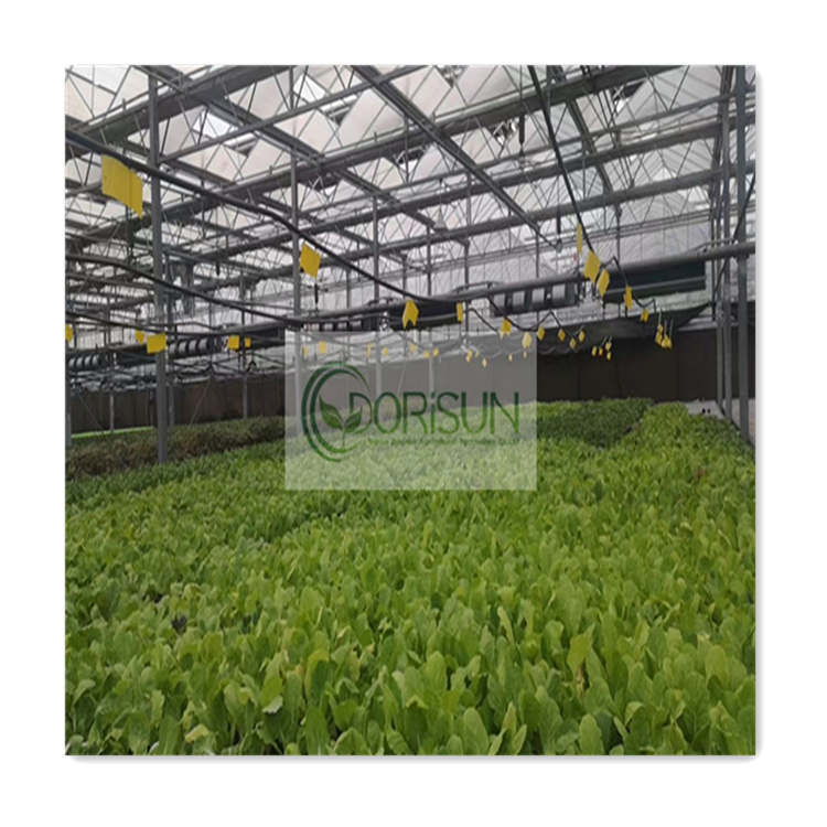 Large Nursery Sale Wholesale Price Glass Hydroponics Octagon Evaporative Air Cooler Heated Plant PC Sheet Greenhouse