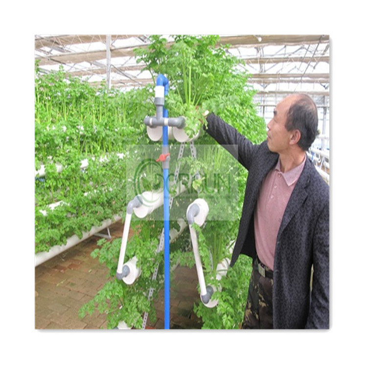 Large Scale Plant Container Aeroponic Hidroponia Hydroponic Growing System Manufacturers Outdoor