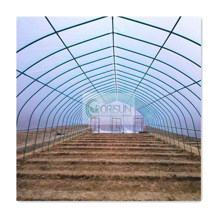 Lowest cost agricultural poly tunnel green house commercial steel galvanized pipe single span plastic greenhouse