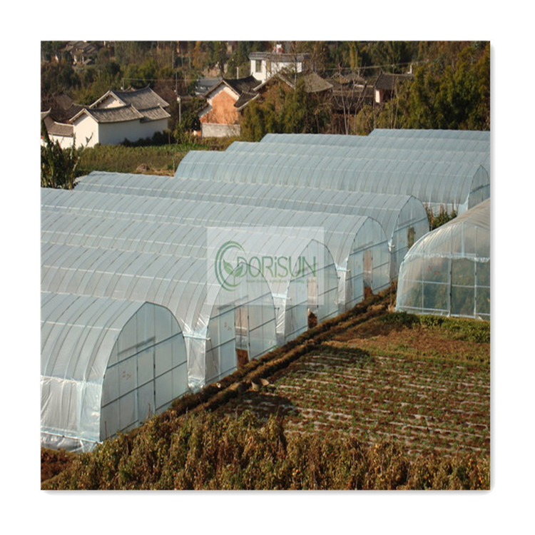 8X12 China Green Houses Plastico Para Invernaderos-Industrial Tunel Used Agricultural Greenhouse Tunneling For Sale