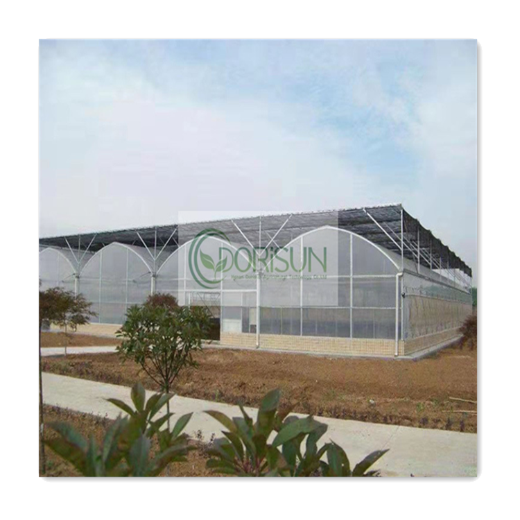 Chinese Retractable Bug Netting Water Pipe Tube Nurse Shelves Tunnel Pvc Polycorbonate Greenhouse For Roses