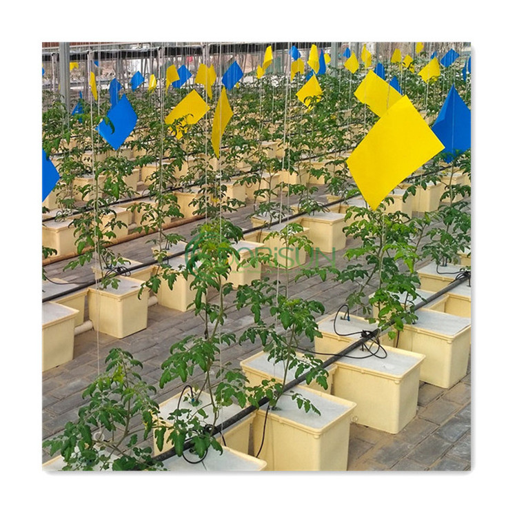 Dutch Bucket Hydroponic System Biodegradable Potato Nursery Strawberry Tree Coconut Peat Planting Bags